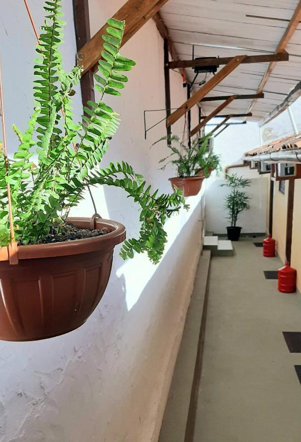 Flats Vasconcelos Itacare Ngoại thất bức ảnh